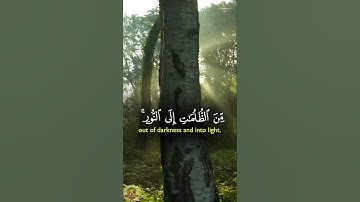 اذْكُرُوا اللَّهَ ذِكْرًا كَثِيرًا | تلاوة خاشعة من سورة الأحزاب بصوت أحمد العجمي #viralvideo