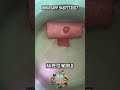Polar Parrot Breeding pair With Fries Update #shortvideo #viralshort #shorts #shortstory #guppy