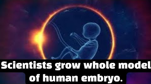 Scientists grow whole model of human embryo. #fertility #health #stemcell #pregnancy #breakingnews
