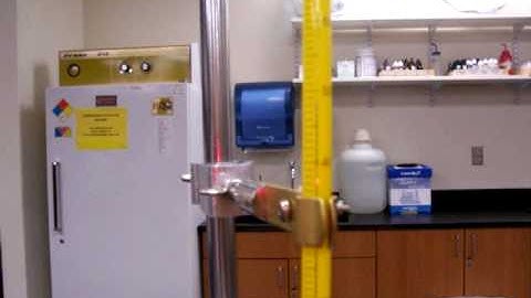 Lab 13.1 Heat Experiments b (Brazil Nut)