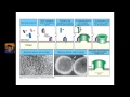 Patho Pharm 1 -  Inflammation and Immunity