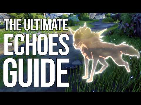The ULTIMATE Echo Guide! (Wuthering Waves)