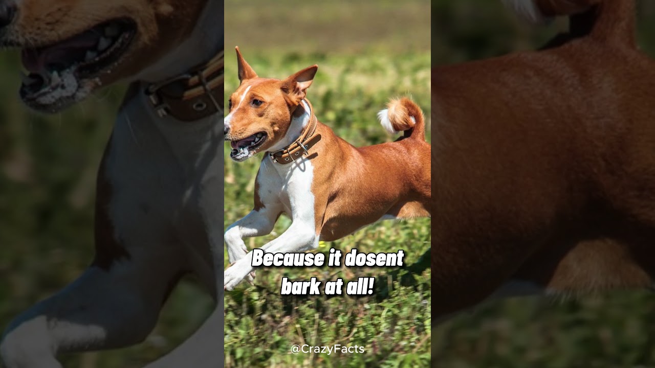 Did you know this fact?