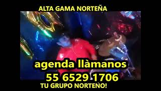 Norteños en CDMX 556529 1706 ALTA GAMA NORTEÑA TU GRUPO NORTEÑO