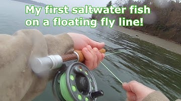 Fly Fishing thru the Storm (Puget Sound)