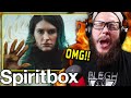 YOU WON'T BELIEVE THIS! Spiritbox - Rotoscope | REACTION / REVIEW