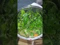 Hyderabadi Paneer Recipe New Recipe #new #recipe #hyderabadipaneer#cooking #faizavlog #cookingvideo