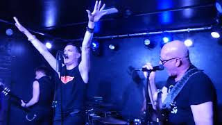 Watch Pig Loud Lawless  Lost video