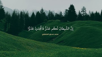 فلا تغرنكم الحياة الدنيا | محمد صديق المنشاوي | سورة فاطر