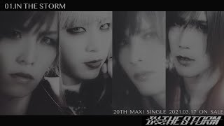 Royz「IN THE STORM」Trailer