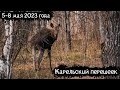 Карельский перешеек | Поход по Ленинградской области