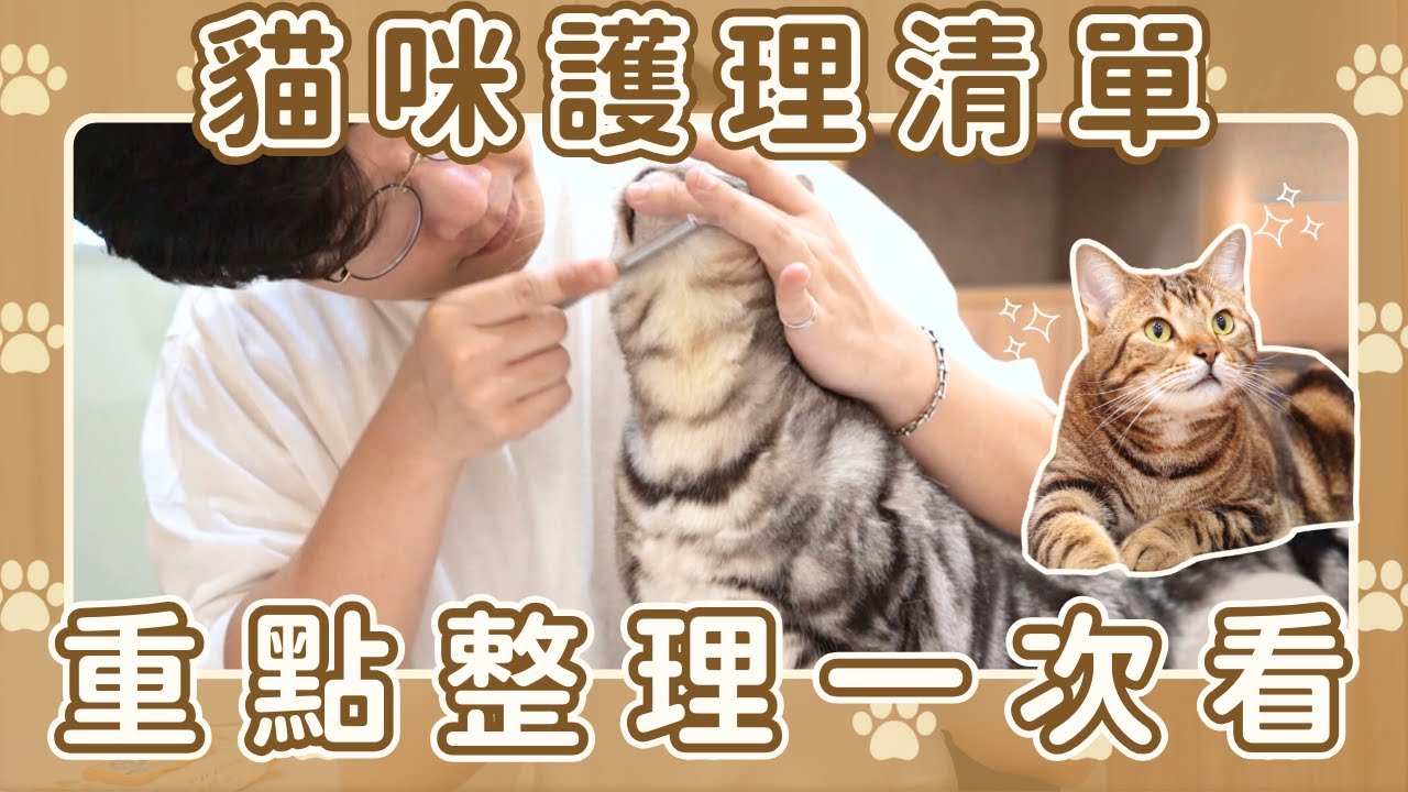 貓咪護理全攻略｜貓貓的精緻生活✨