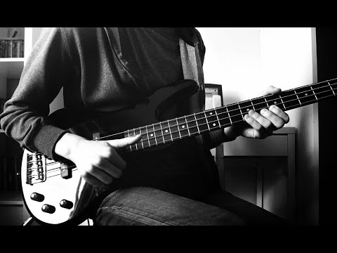 Red Hot Chili Peppers - Can't Stop (Bass Cover) TM4B