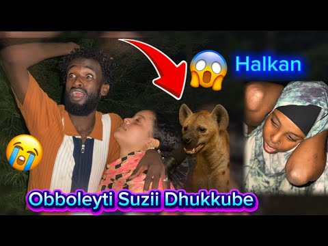 Suzii Barbaadaa Jirra Halkan Kessa