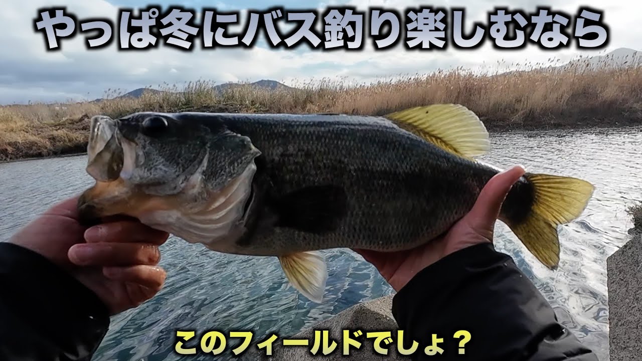 【冬バス】真冬のオアシスで天才バスと頭脳勝負。