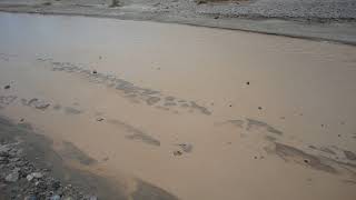 Amargosa River flowing