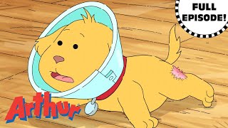 Pal and the Big Itch | Arthur Full Episode! screenshot 4