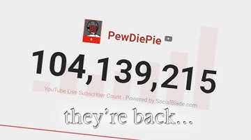 Live Sub Counts are BACK!! (SocialBlade)