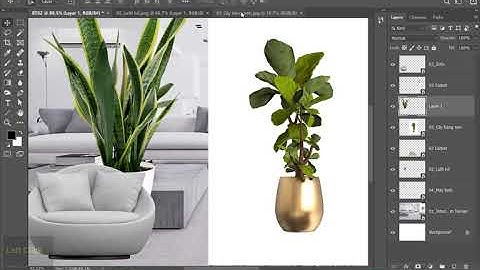 Photoshop Buổi 01 (1.1): Cắt Ghép Cơ Bản