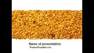 Flax PowerPoint Template by PoweredTemplate.com