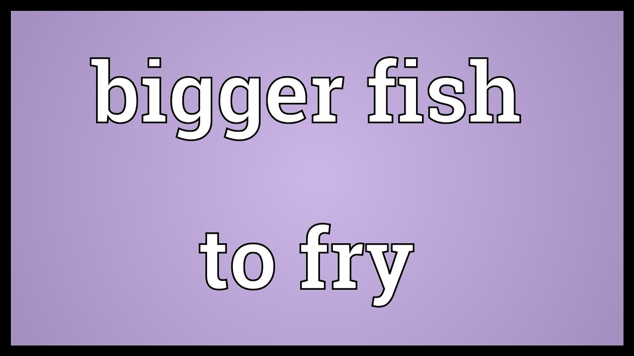 Bigger fish to fry Meaning - YouTube