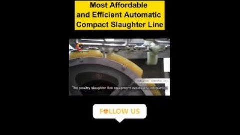 Most Affordable and efficient Automatic Compact Slaughter Line