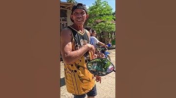 Guimaras Island off of Iloilo City is a must visit #voidwalkertravel #philippines #guimarasisland