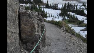 A Grizzly Encounter