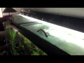 20) How to: Easy DIY Sliding Glass Aquarium Top/Hood 20) How to: Easy DIY Sliding Glass Aquarium Top/Hood