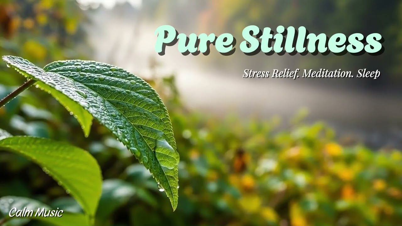 Pure Stillness – Relaxing Piano & Guitar Instrument