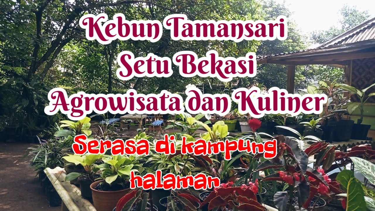 Kebun Taman Sari Setu Bekasi 