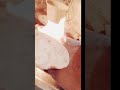 रोटी कमाने से लेकर रोटी खाने तक #food श #motivation #roti #viral #cooking