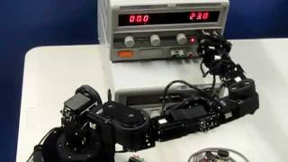 Low Power Robai Cyton Robot