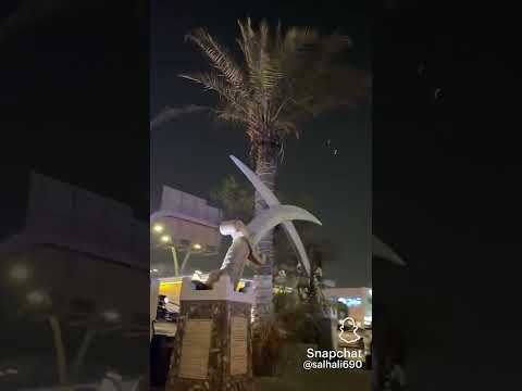 شعار الدولة سيفين ونخلة السعودية اكسبلور ترند      