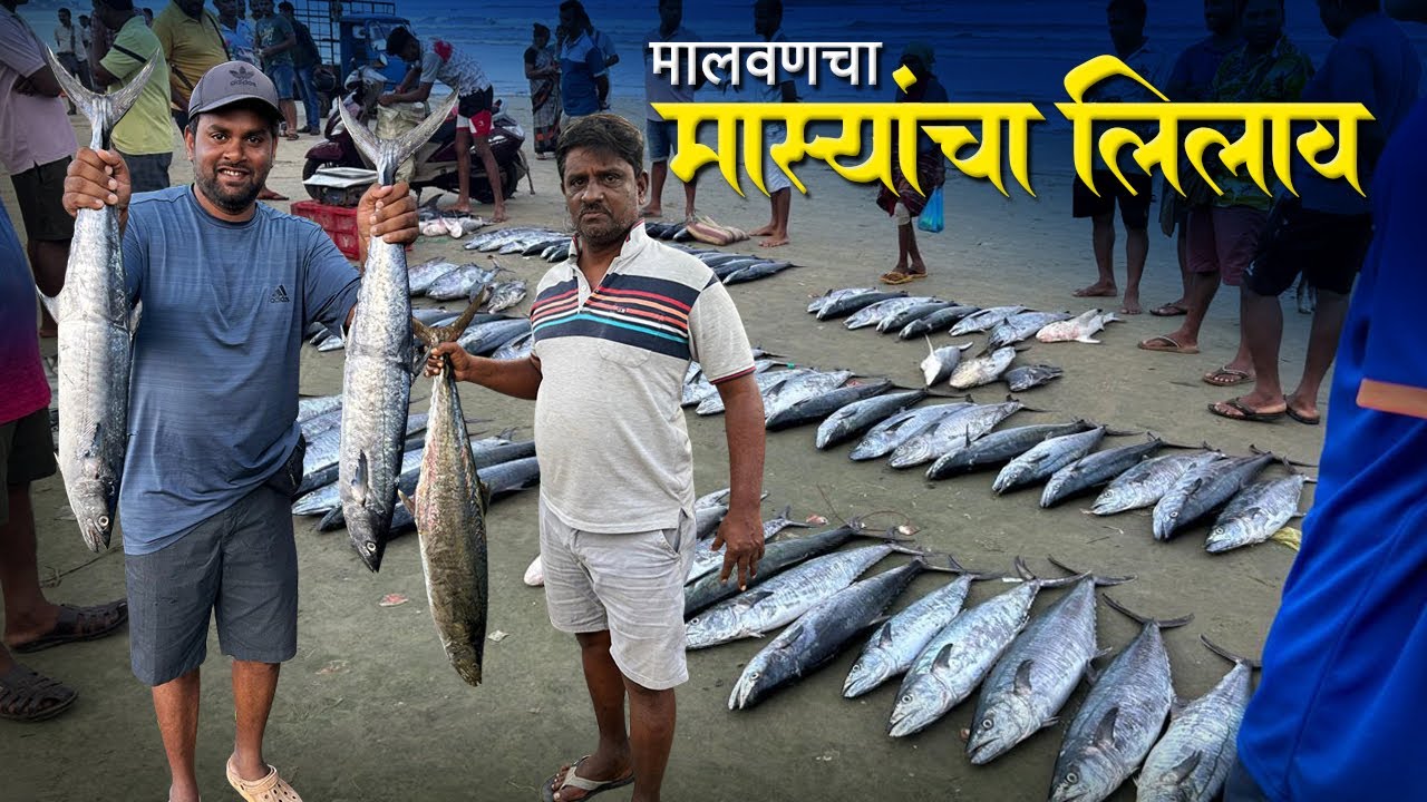 नवीन हंगामाचा 