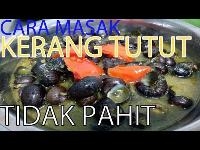 Ternyata Begini Cara Masak Kerang Tutut Agar Tidak Pahit - Youtube