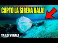 Sirena real captada por primera vez vdeo viral 117 laguna negra
