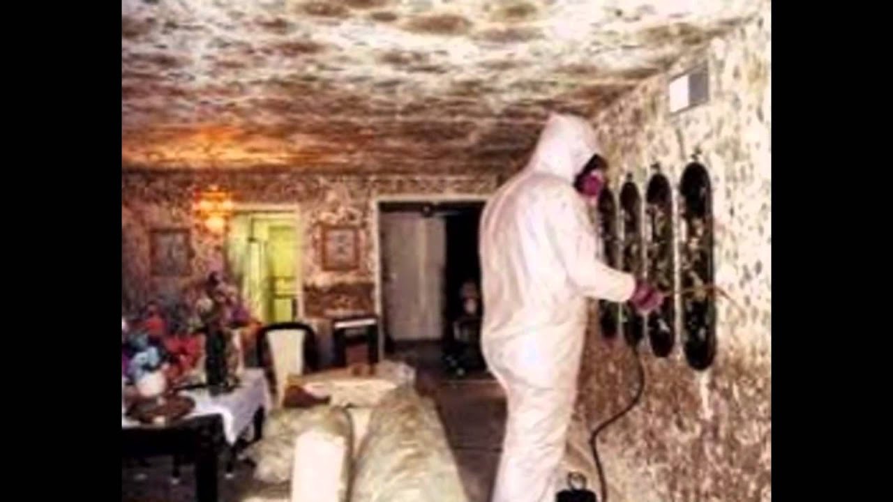 santee water damage restoration services