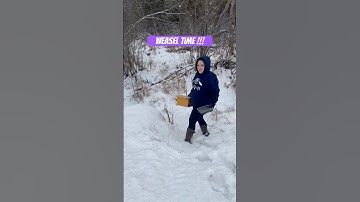 Weasel trapping for beginners