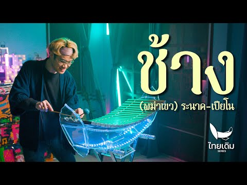 ช้าง (พม่าเขว) | ระนาดเอก (+เปียโน) | ไทยเดิม by Fino the Ranad