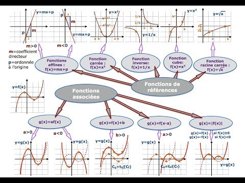 Vidéo: Anatomie, Fonction Et Diagramme De L'artère Ophtalmique - Cartes Corporelles