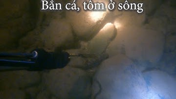 Bắn cá, tôm ở sông kỳ cùng, Lạng sơn || làm món gỏi tôm sống