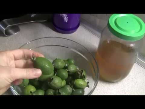 полезная вкусняшка из фейхоа в зимний период