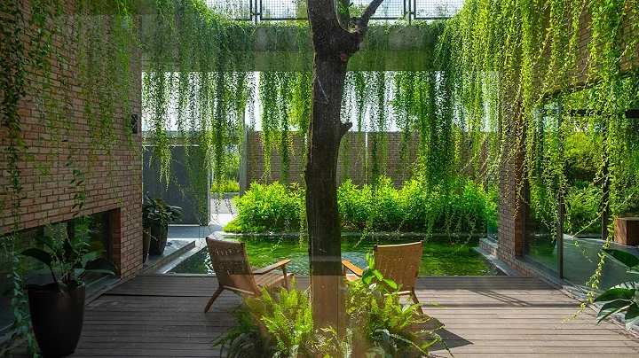 The Green Curtain House In Vietnam - DayDayNews