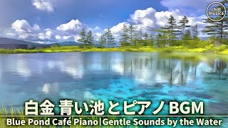 カフェBGM💠白金青い池でコーヒータイム☕癒しのピアノを作業用音楽に Blue Pond Café Piano 💠 Gentle Nature Sounds for Coffee & Focus