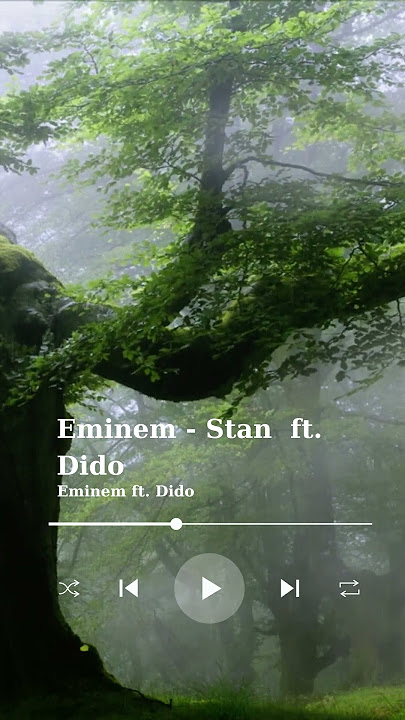 Eminem - Stan - ft. Dido - Relax Short Rain Forest