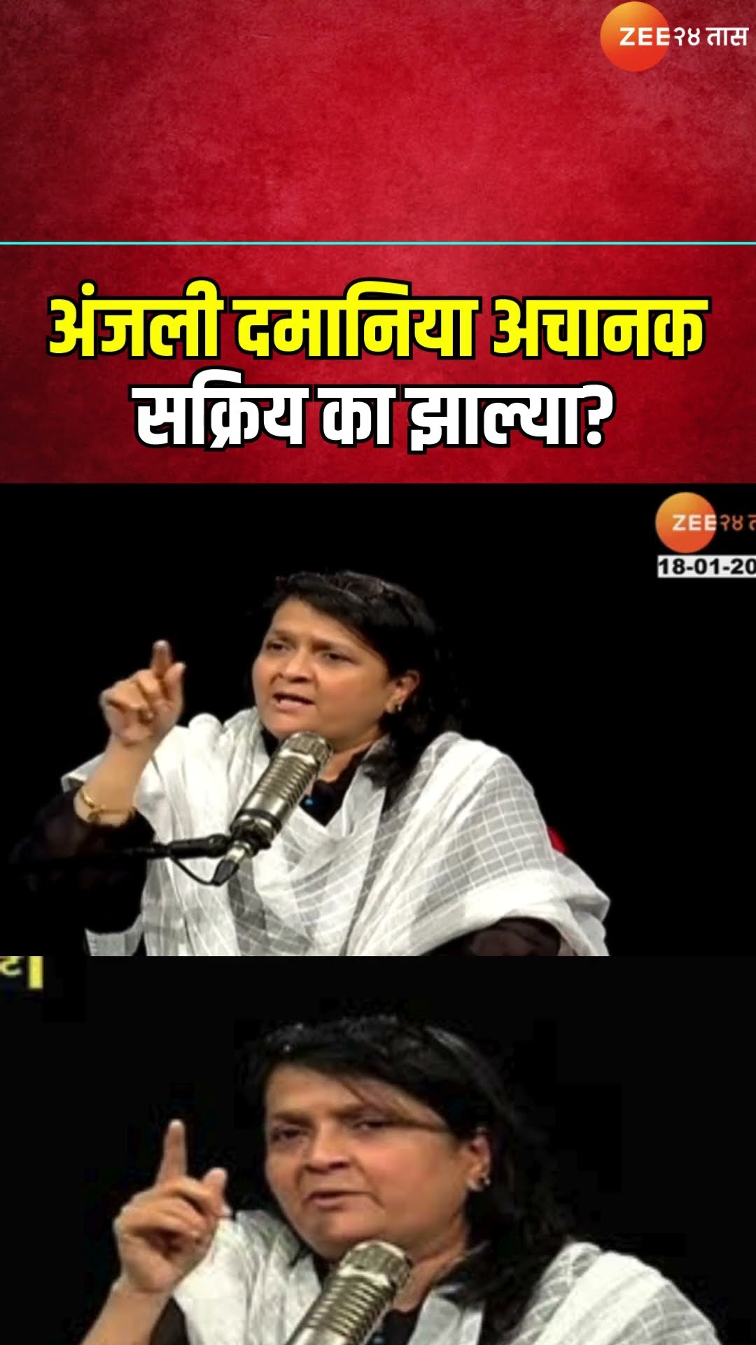 Anjali Damania | अंजली दमानिया अचानक सक्रिय का झाल्या? | Walmik Karad