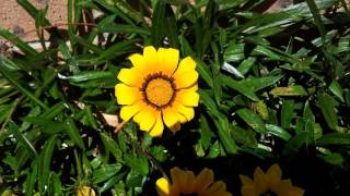 How Deep Is Your Love - Bee Gees
