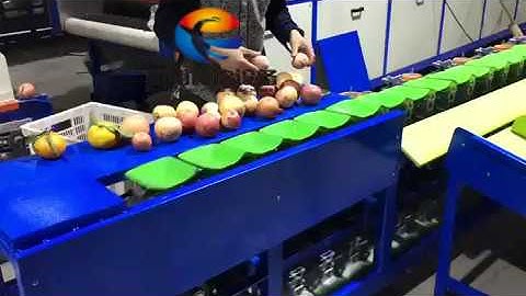 Fruit Sorting Grading  Machine by Weight