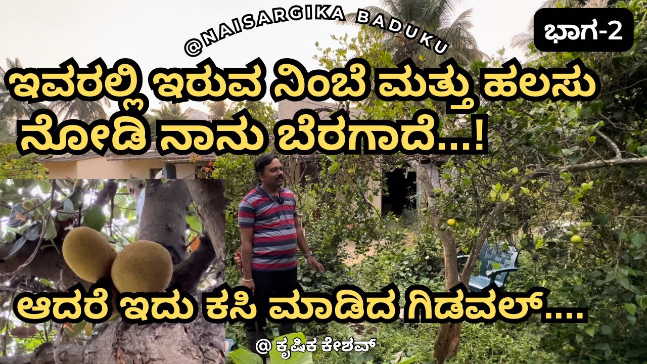 ಇವರಲ್ಲಿ ಇರುವ ನಿಂಬೆ ಮತ್ತು ಹಲಸು ನೋಡಿ ನಾನು ಬೆರಗಾದೆ | ಆದರೆ ಇದು ಕಸಿ ಮಾಡಿದ ಗಿಡವಲ್|Air Layering |ಭಾಗ-2🇮🇳💛❤️